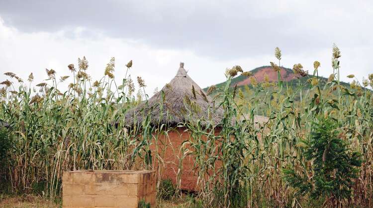 90% of people in Burkina Faso live as subsistence farmers in such huts.