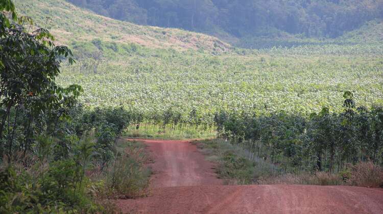 Land grabbing often happens in countries with non-functioning and corrupt governments.