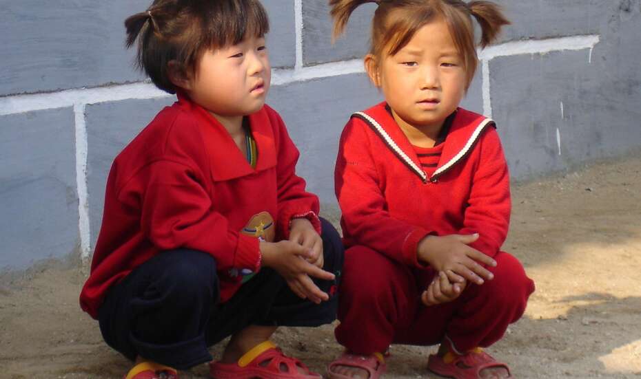 Gute Aussichten für junges Gemüse