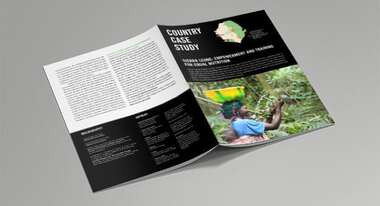 2017-ghi-case-study-sierra-leone.jpg