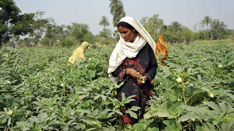 Durch Vielfalt unabhängig werden