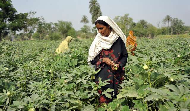 Durch Vielfalt unabhängig werden