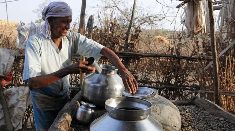 The school distributes free lunches.