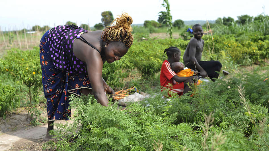 Frauen bei Feldarbeit