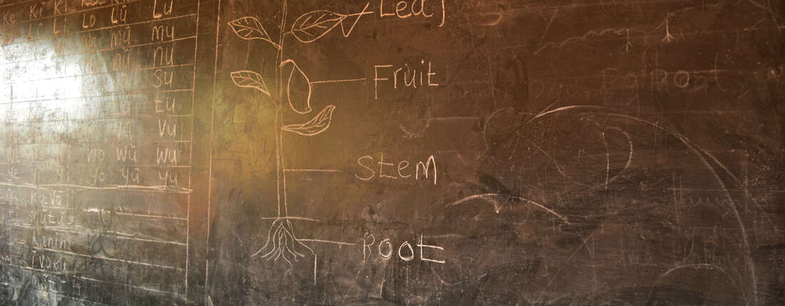 Eine gezeichnete Blume auf einer Schultafel.