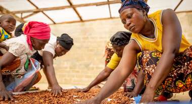 Women processing cocoa as part of a cooperative