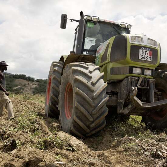 Smallholder in Haiti