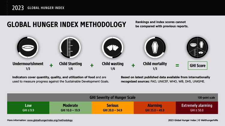 Global Hunger Index methodology. Indicators cover quantity, quality, and utilization of food.