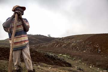 Abholzung in Haiti: Ein Bauer steht auf einem kargen Feld