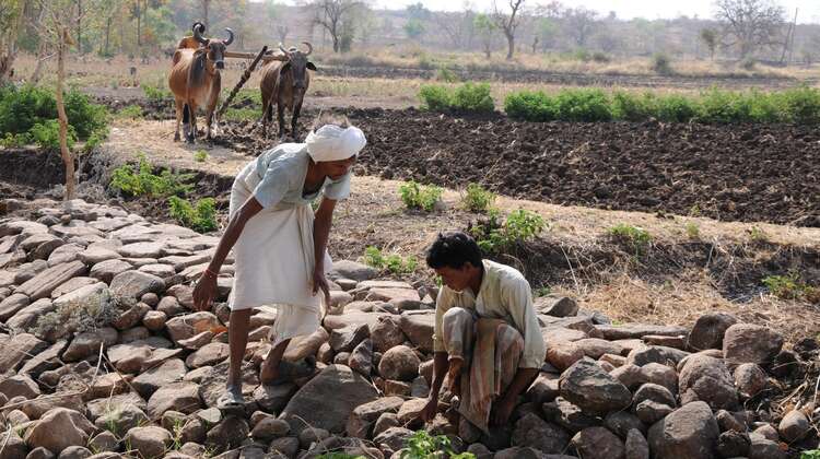 The harvests from the fields of Jhiranya are usually meagre.