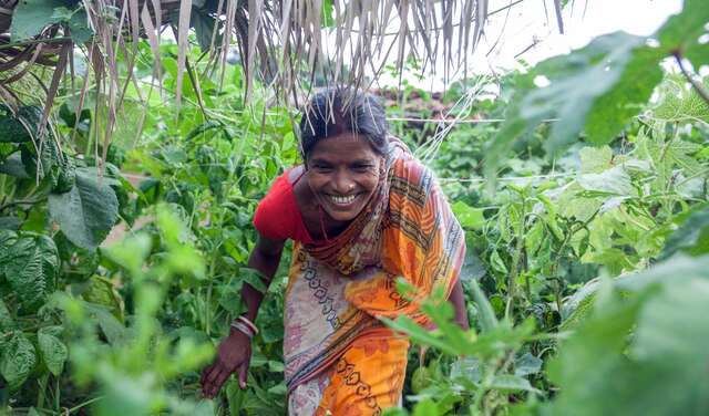 Frau klettert durch Dschungel auf dem Land