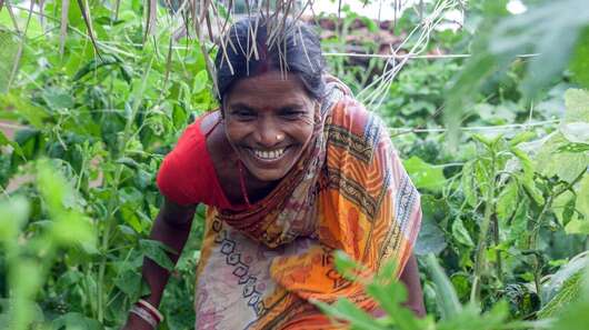 A woman is scrambling through a jungle.
