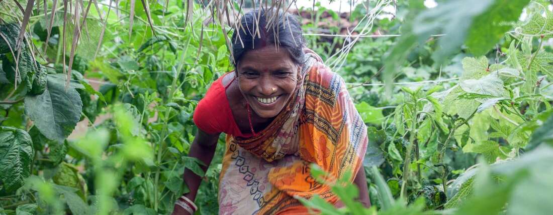 Frau klettert durch Dschungel auf dem Land