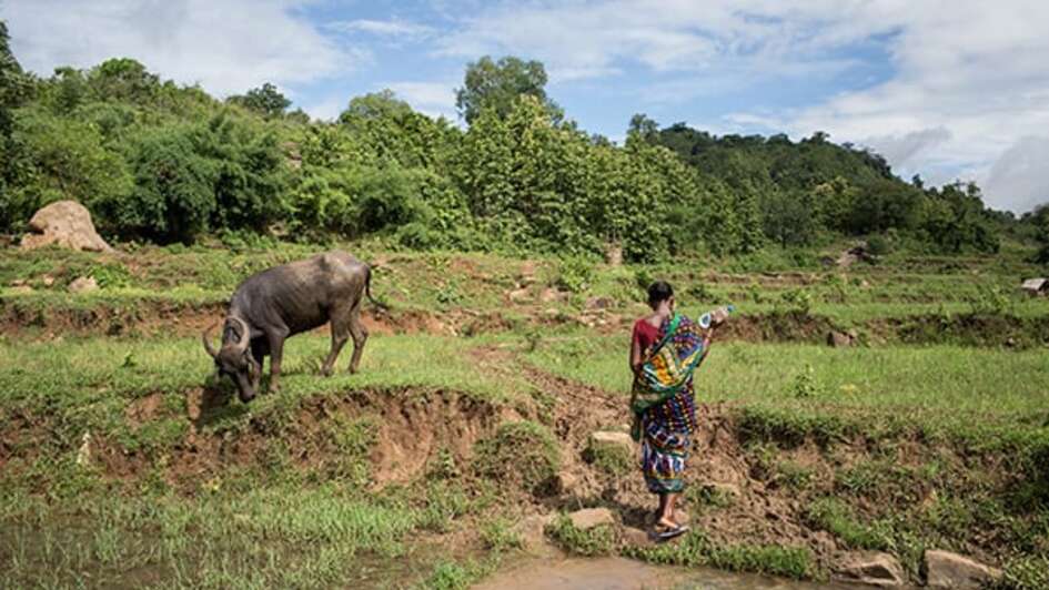 Breaking the silence and receiving water in return – this is how the India population overcame the drought in 2016.