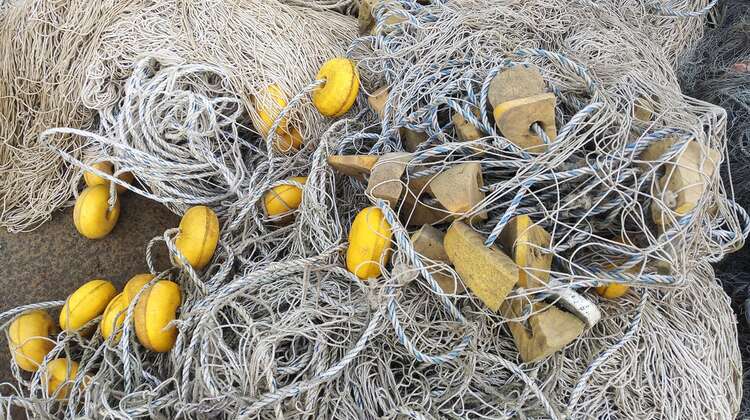 Close-up of fishing nets