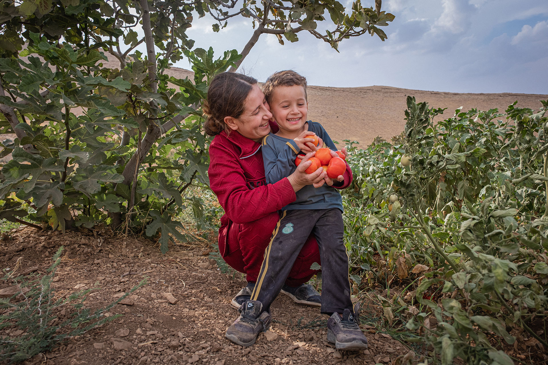 Evin, 23, erntet mit ihrem kleinen Sohn selbst angebaute Tomaten im Irak
