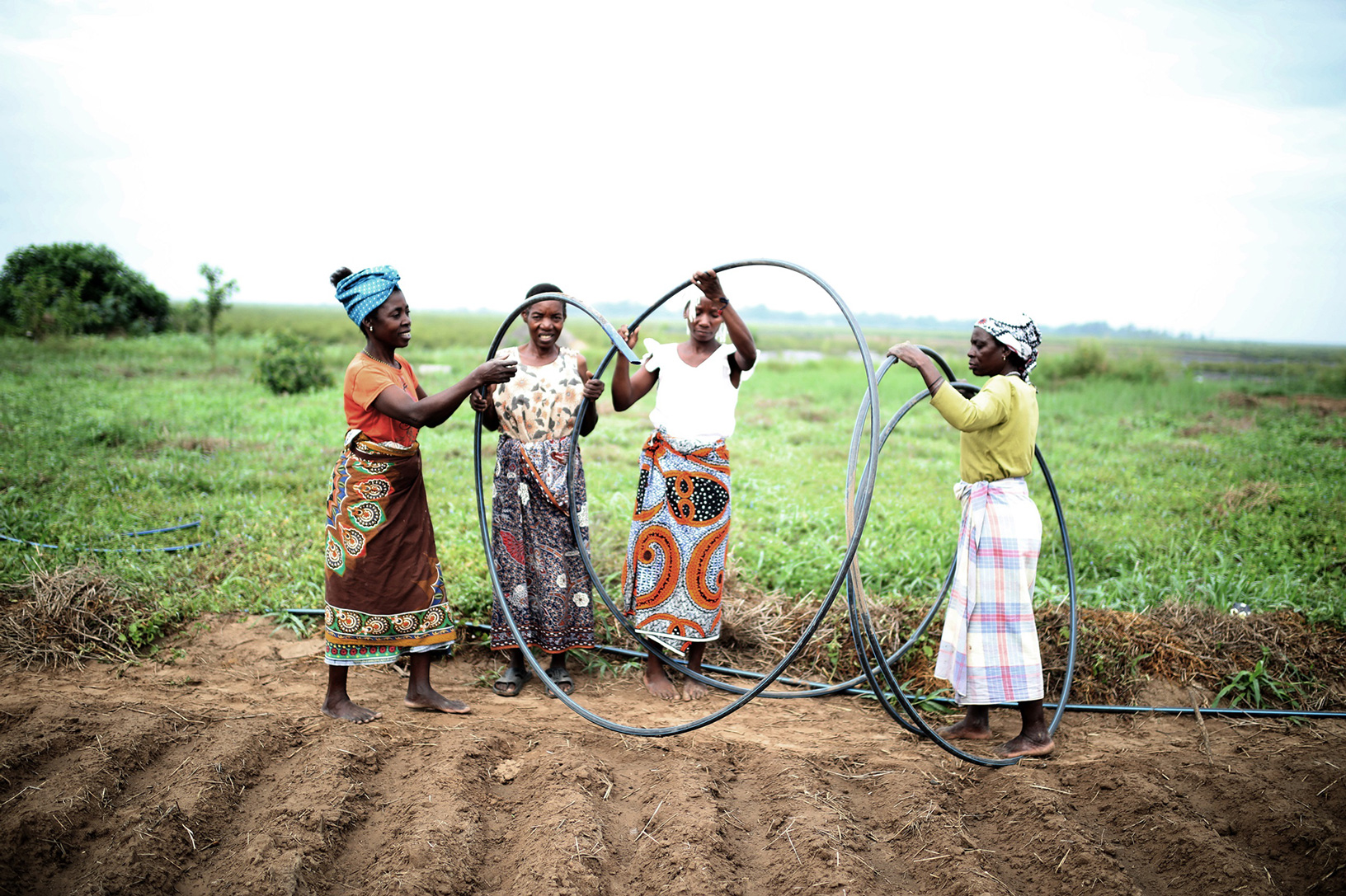 vier Frauen verlegen Schläuche zur Bewässerung eines Feldes